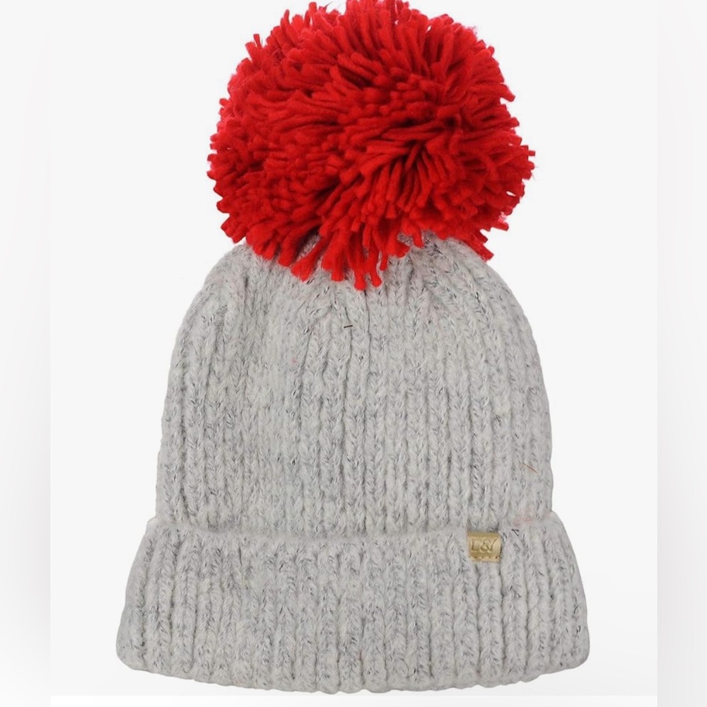 BNWT Super soft Pom Pom beanie hat